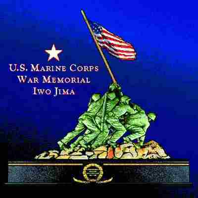 DC Marine Memorial Pillow