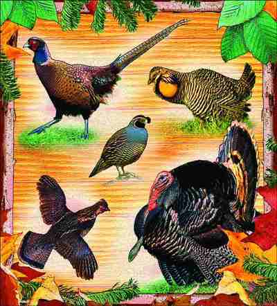 Lodge Ground Birds Coverlet