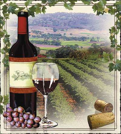Vineyards Coverlet