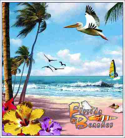 Florida Beaches Coverlet