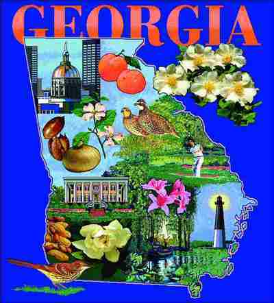 Georgia Coverlet