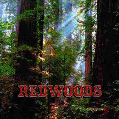 Redwoods Pillow