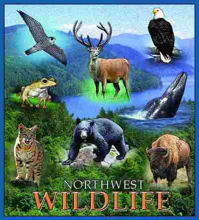 NW Wildlife Coverlet