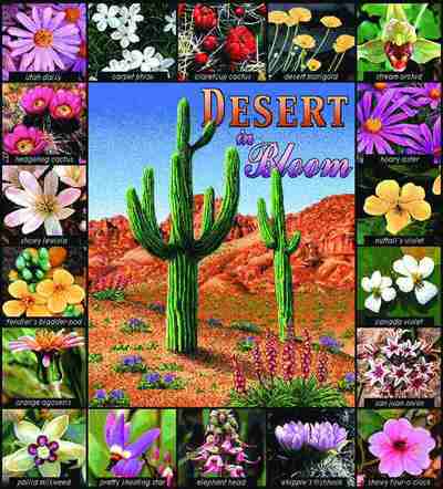 Desert In Bloom Coverlet