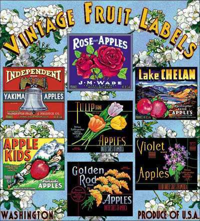 Vintage Fruit Labels Coverlet