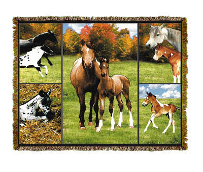 Horse Mares & Colts Coverlet