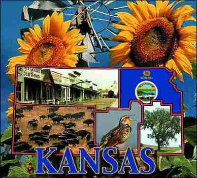 Kansas Coverlet