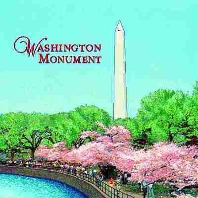 DC Washington Monument Tote Bag