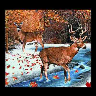 Lodge White Tailed Deer Pillow