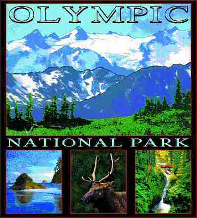 Olympic National Park Coverlet
