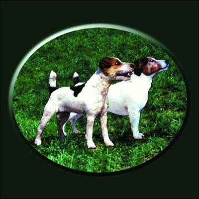 Jack Russell Pillow