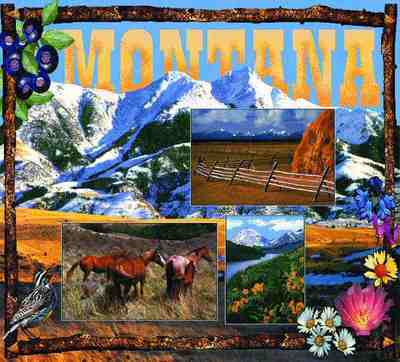 Montana Coverlet