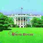 DC White House Pillow
