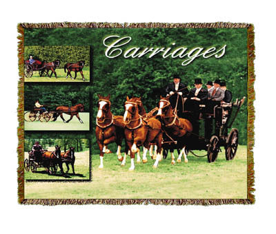 Horse Carriages Coverlet