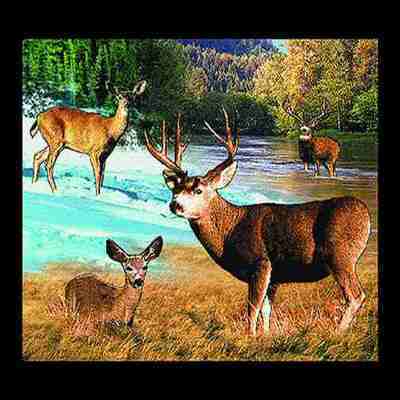 Lodge Mule Deer Pillow