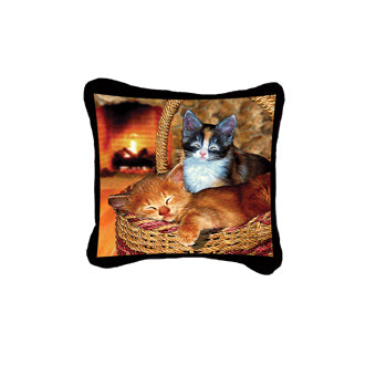 Cat Nap Pillow
