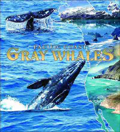 Gray Whales Coverlet