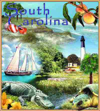 South Carolina Coverlet