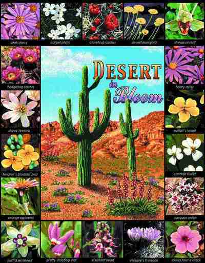 Desert In Bloom Wallhanging