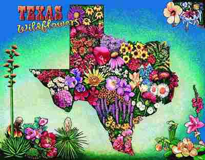 Texas Wildflowers Wall Hanging