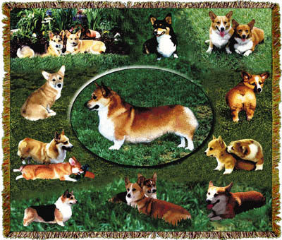 Corgi Dog Throw Blanket – Mill Street Designs