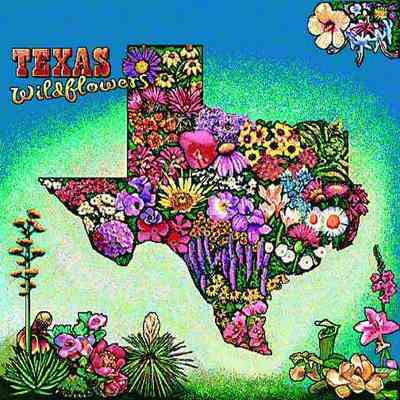 Texas Wildflowers Throw Blanket